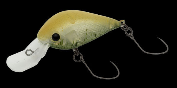 Meet 33DR-F (409M) Lemon frost