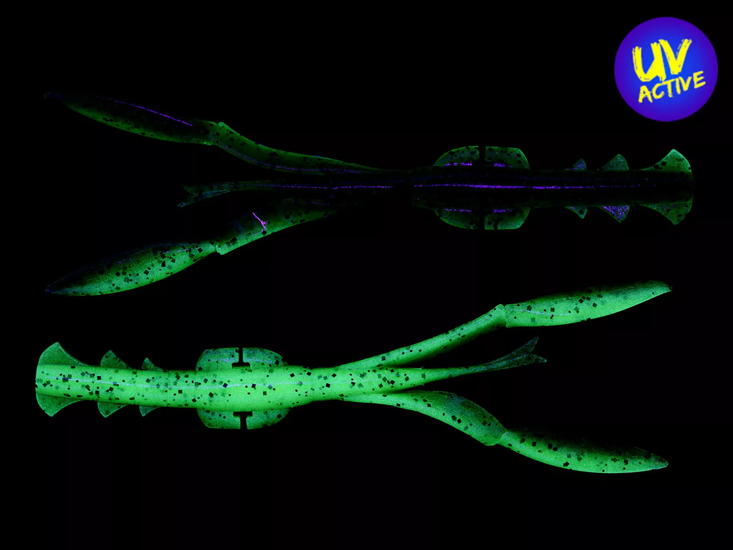 5.5" Neco camaron-green Pumpink/Chartreuse