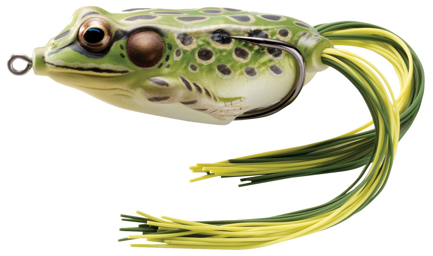 FROG - HOLLOW BODY