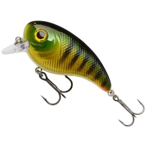 PULSE BIGGIE 6 CM 16G PERCH