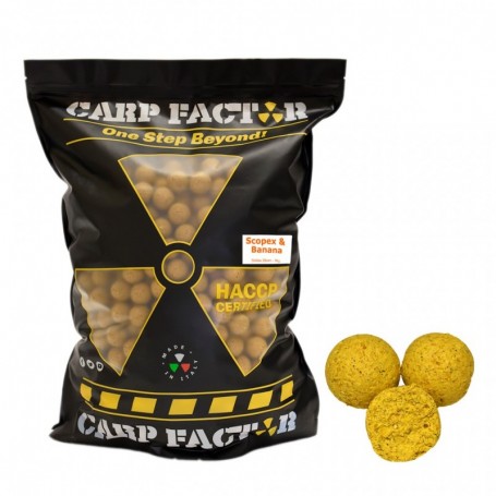 FP BOILIES 5 KG - 20 MM - SCOPEX