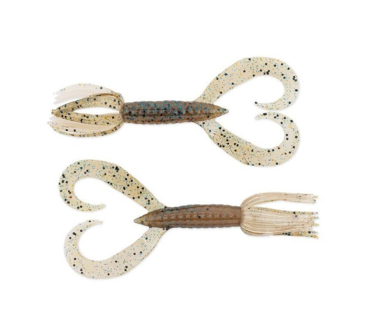 2" Little Spider - Blue Back Cinnamon