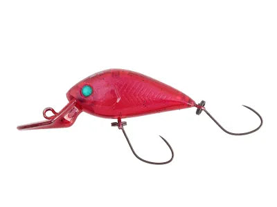 Nories Meet 29DR-SS (321) Morning Dawn