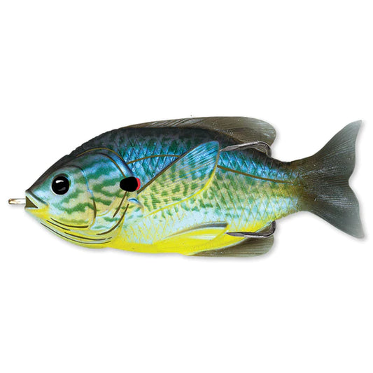 SUN FISH - HOLLOW BODY
