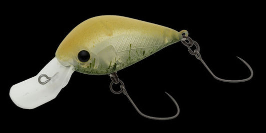 Meet 33DR-F (409M) Lemon frost