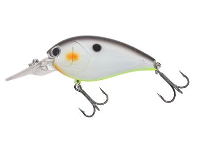 Shot Over 2 (422) Decatur Shad