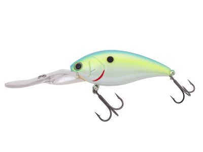 Shot Over 5 (307) Citrus Shad