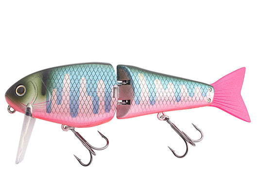 Hira Crank 150F L Bill (423) Real Oikawa Red Belly
