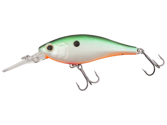 Jetty Shad 62sp (274) US Green Shad