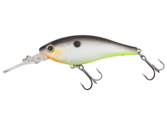Jetty Shad 62sp (422) Decatur Shad